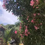 Daisy Apartmán *