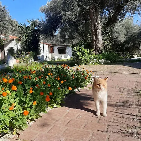 Daisy Apartmán