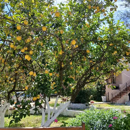 Daisy Apartmán
