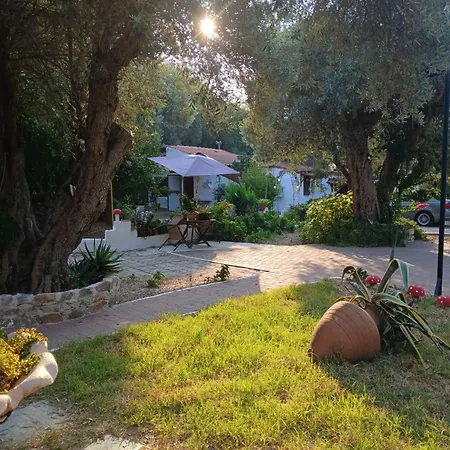 Daisy דירה *