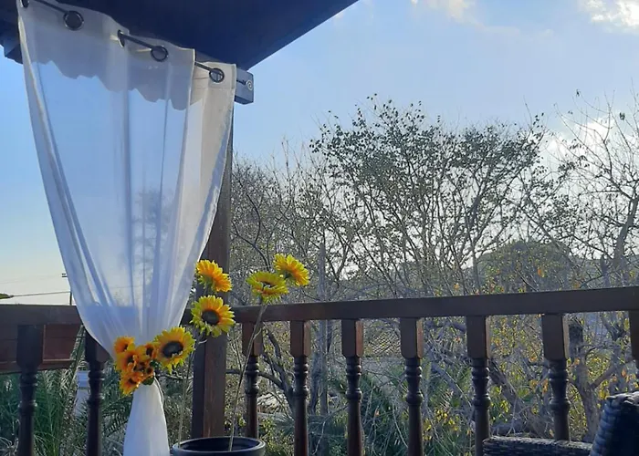 Διαμέρισμα Daisy Σκιάθος Πόλη