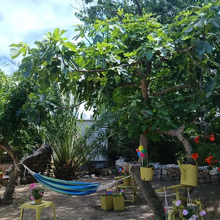 Daisy * Skiathos-Stadt